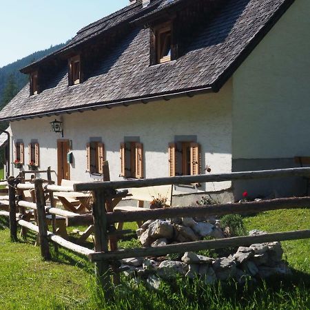 Zickerreith Almhutte Ostello Rosenau am Hengstpass Esterno foto