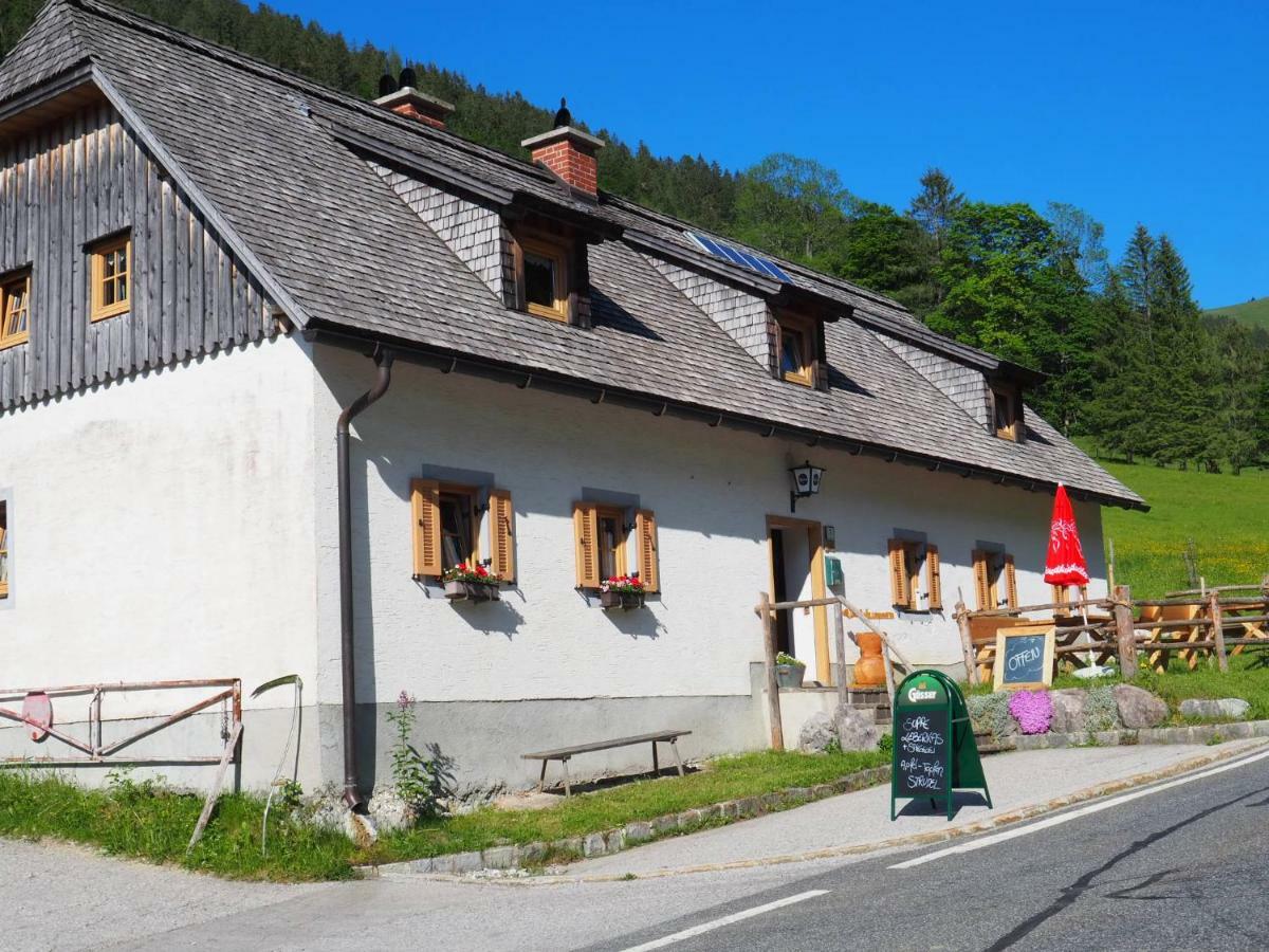 Zickerreith Almhutte Ostello Rosenau am Hengstpass Esterno foto