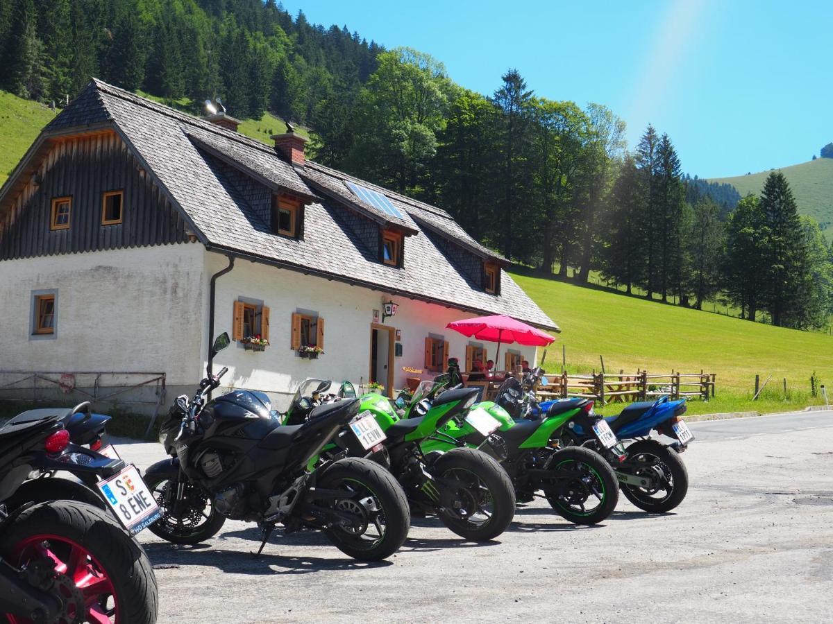 Zickerreith Almhutte Ostello Rosenau am Hengstpass Esterno foto