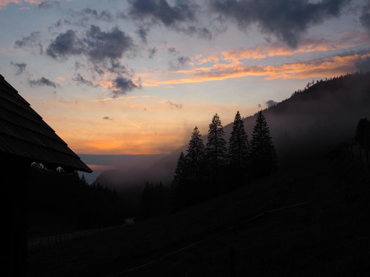 Zickerreith Almhutte Ostello Rosenau am Hengstpass Esterno foto