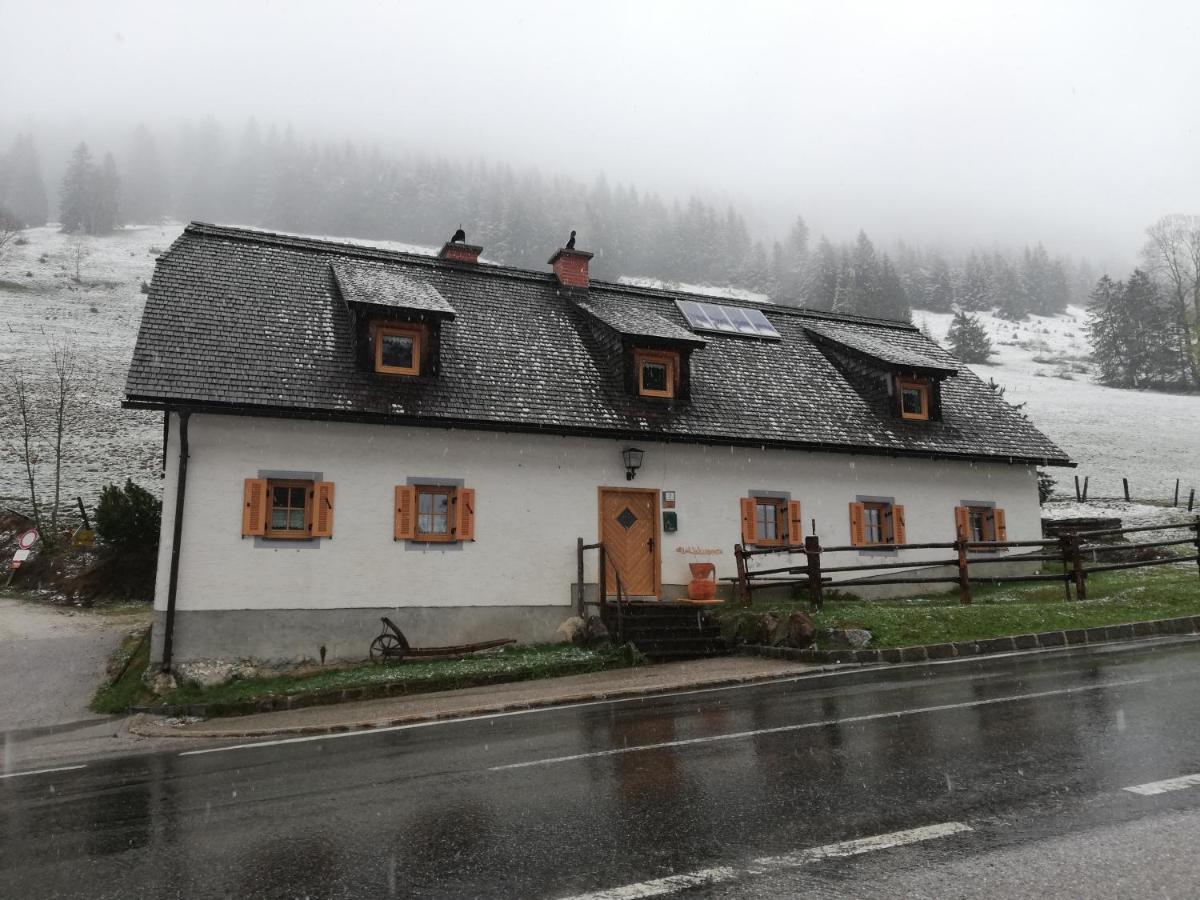 Zickerreith Almhutte Ostello Rosenau am Hengstpass Esterno foto