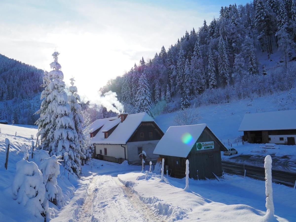 Zickerreith Almhutte Ostello Rosenau am Hengstpass Esterno foto