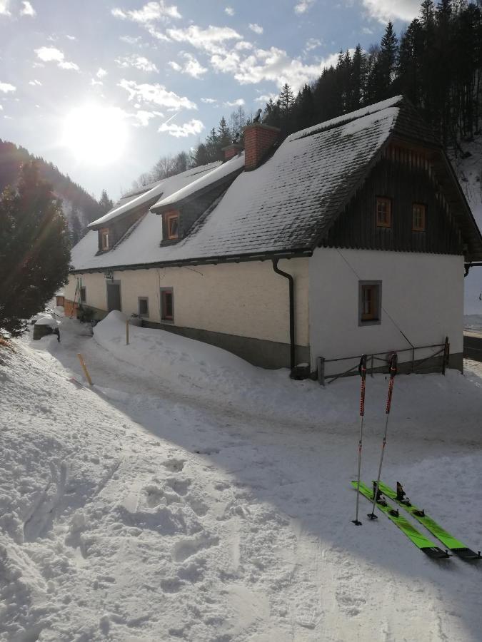 Zickerreith Almhutte Ostello Rosenau am Hengstpass Esterno foto